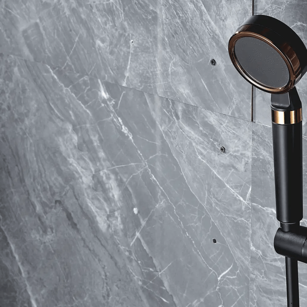 Luxury Black and Gold Shower Head